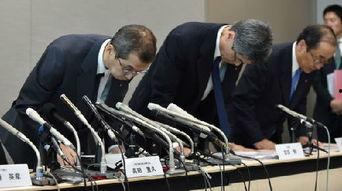 宾阳高田最新新闻爆料,村民发现古墓群，专家现场考古调查